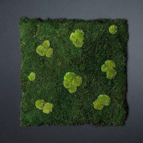 Parete vegetale stabilizzata - FLATMOSS CON POLEMOSS - VGnewtrend - su misura / in pannelli modulari / naturale