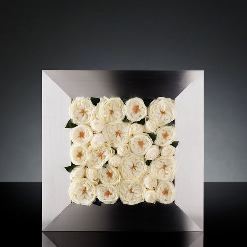 Pannello decorativo per arredamento - MIX ROSE FRAME - VGnewtrend - per interni / da parete / in alluminio