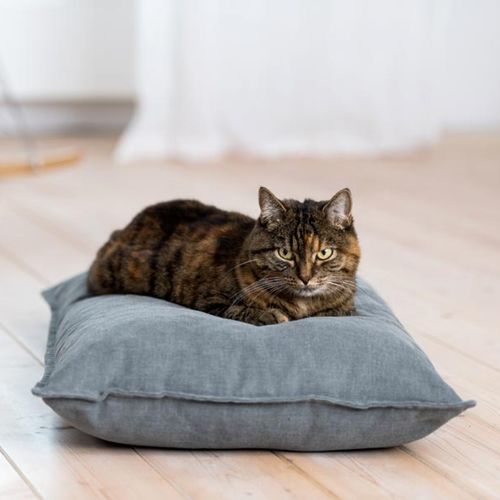 Cuscino per animali domestici (cani e gatti) - DIVAN UNO - pet.interiors - quadrato / rettangolare / rotondo