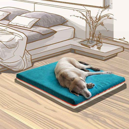 Cuscino per animali domestici (cani e gatti) - PAUL  - pet.interiors - rettangolare / a tinta unita / per uso residenziale