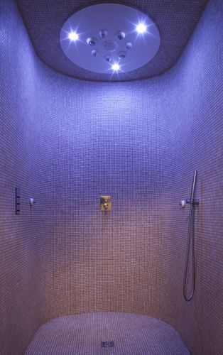 Doccia multifunzione - SIBIRIAN NIGHT SED4 - WDT - Werner Dosiertechnik - con idromassaggio / contract / per spa