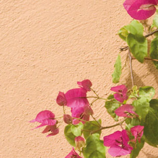 Pittura decorativa - ALLA CALCE ADIGE - OIKOS colore e materia per l'architettura - di protezione / da esterno / interno