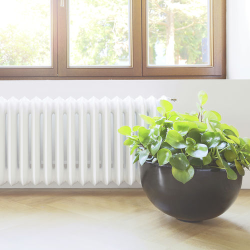Radiatore ad acqua calda - PEERLESS THREE COLUMN - Classic Comfort - contemporaneo / in ghisa / da appoggio