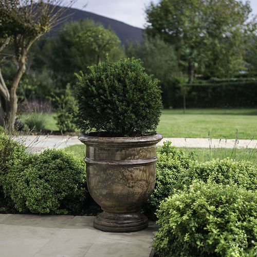 Vaso da giardino in terracotta - VPL - Poterie Goicoechea - rotondo