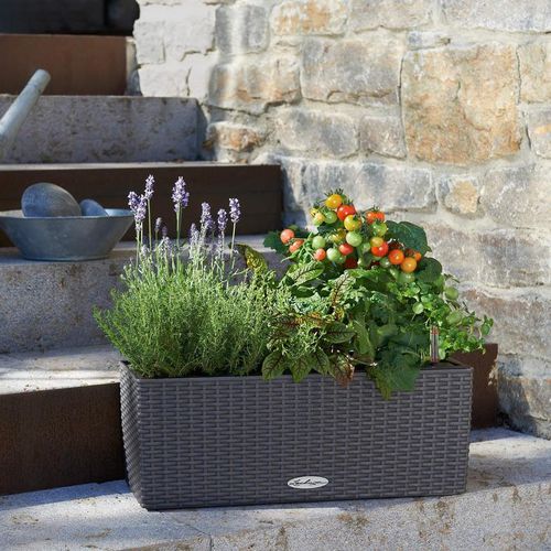 Fioriera in plastica - BALCONERA - Lechuza - rettangolare / modulabile / sospesa