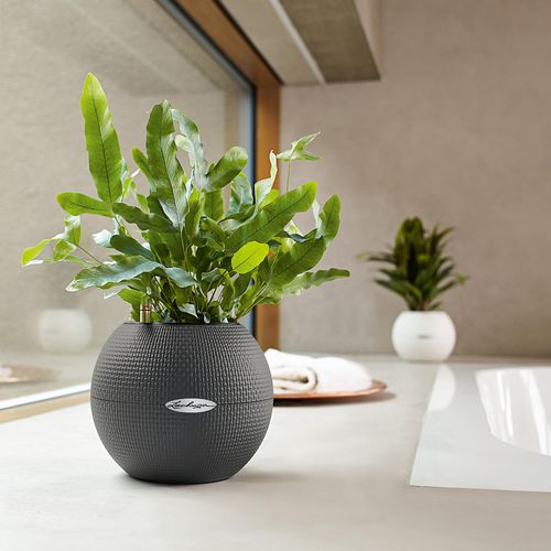 Vaso da giardino in plastica - LECHUZA-PURO - Lechuza - da appoggio / sferico / con irrigazione automatica