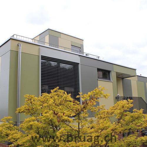 Rivestimento di facciata in pannelli - CELLON EFH-EFFERTIKON - Bruag Design Factory AG - in composito / in HPL / liscio