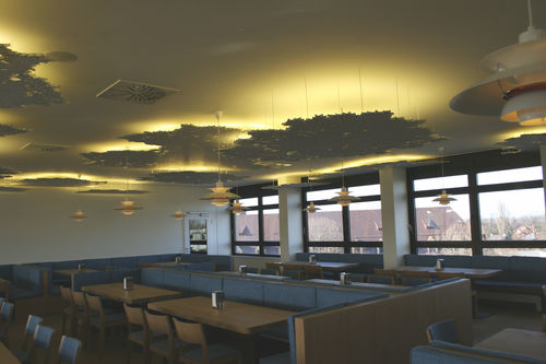 Pannello acustico per controsoffitto - BAVARIAN MEDICAL ASSOCIATION - Bruag Design Factory AG - in MDF / rettangolare / professionale