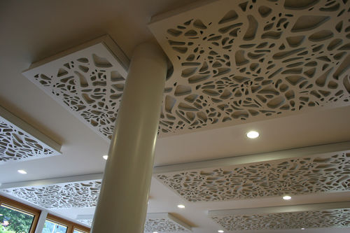 Pannello acustico per controsoffitto - MUNICIPAL BUILDING TRIMMIS - Bruag Design Factory AG - in MDF / rettangolare / professionale