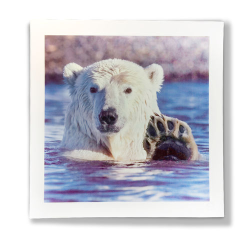 Quadro con animali - NEXT TO ME - HAVILAND - contemporaneo