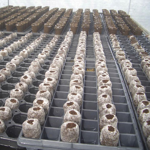 Substrato colturale fibra di cocco - ROSA-LINE - JIFFY - tappo / per fiori