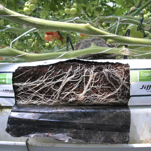 Substrato colturale torba di cocco - GROWBAG - JIFFY - in sacchi / grossolano / per l'agricoltura biologica