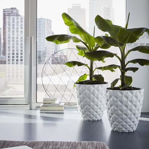 Vaso da giardino in plastica - LUX : TAPERED HERALDRY - Capi - rotondo