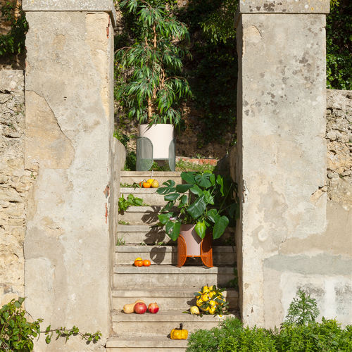 Portavaso - RIVIERA - Mambo Unlimited Ideas