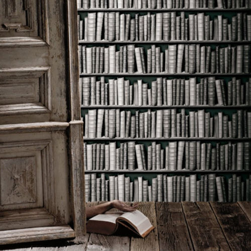 Carta da parati design originale - 8888-57 - Koziel - in vinile / libreria / a effetto dimensionale