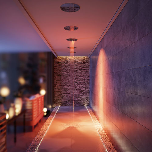 Soffione doccia da incasso a soffitto - PARADISE SPA 30 TOP - Aquademy - rotondo / a pioggia / a cascata