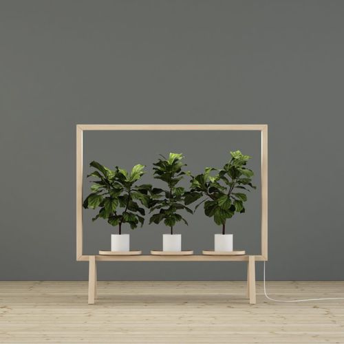 Sostegno per piante in alluminio - GREENFRAME - GLIMAKRA - in legno / ad arco / decorativo