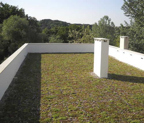 Tetto verde estensivo - COMPLETA - poliflor - per tetto piano / a tenuta stagna