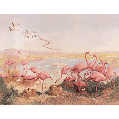 Carta da parati classica - FLAMINGEOES - Neodko - in tessuto non tessuto / in vinile / con motivi naturali