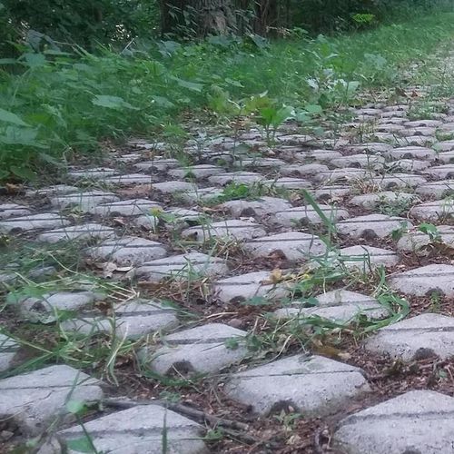 Griglia salvaprato in calcestruzzo - Bleijko