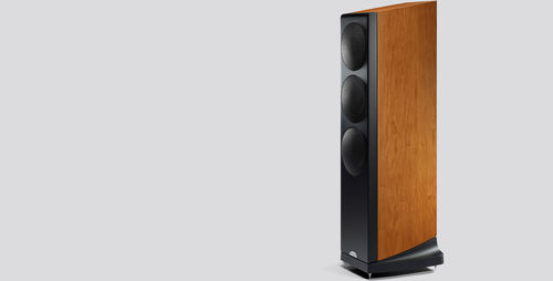 Altoparlante a colonna - OVATOR S-400  - Naim - residenziale / da interno / in legno