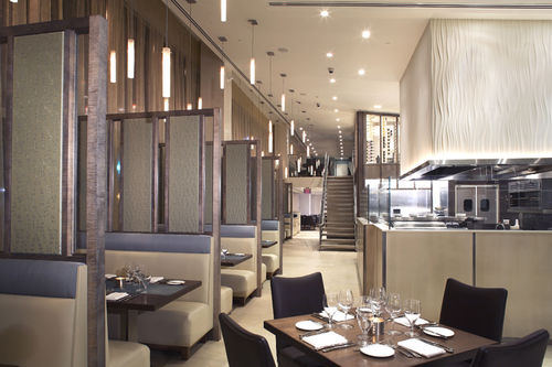 Pannello decorativo per interni - RESTAURANT & BAR - classical natural Stone - per controsoffitto / per parete / da parete