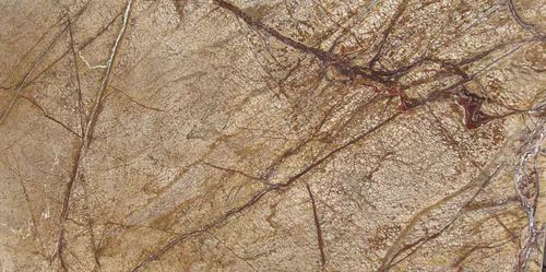 Piastrella in marmo - RAIN FOREST BROWN - classical natural Stone - levigata / da bagno / da sala