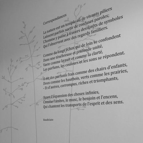 Adesivo da parete con testo - POESIE NOCTURNE CORRESPONDANCE - Atelier d'Art Osmoze - Design & décoration murale