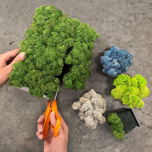 Quadro vegetale in muschio - PIXEL - Nordgröna - naturale / da interno / in pannelli modulari