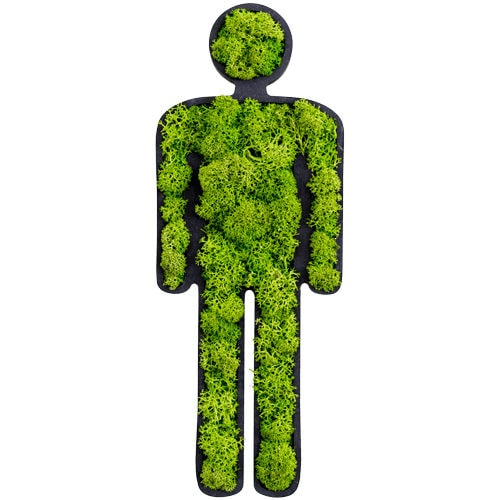 Quadro vegetale in muschio - MAN - FlowerArt GmbH - naturale / da interno / pittogramma