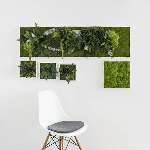 Quadro vegetale in muschio - ISLANDS - FlowerArt GmbH - naturale / da interno