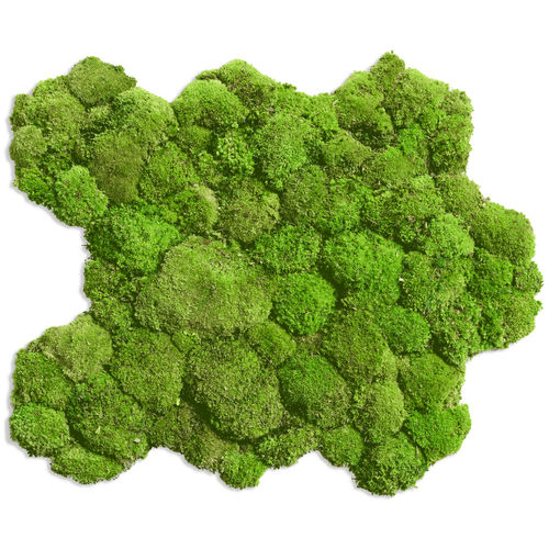 Quadro vegetale stabilizzato - FLEXGREEN  - FlowerArt GmbH - in muschio / naturale / da interno