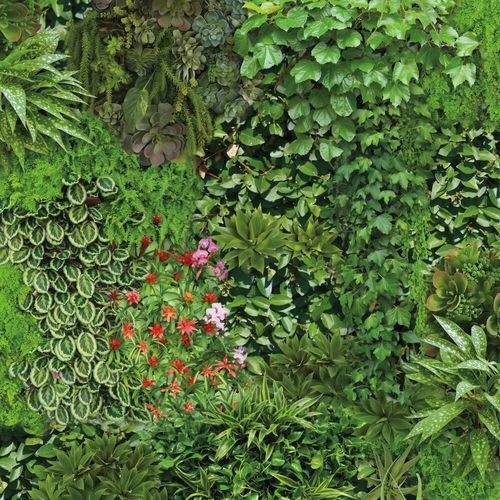Carta da parati contemporanea - Living Wall - York wallcoverings - in vinile / con motivi floreali / a effetto dimensionale