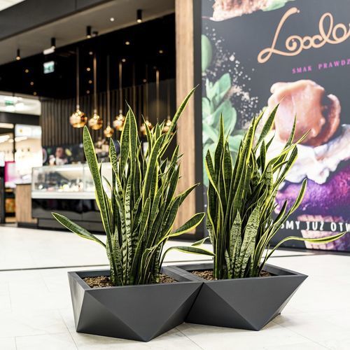 Fioriera in polietilene - Sagitta - Terra Group - contemporanea / per hotel / per ristorante