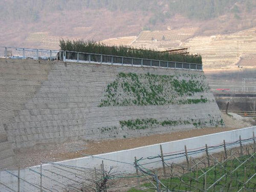 Geogriglia di consolidamento - PAVIROCK TPV - Viganò Pavitex - per strada / in poliestere / rivestita in PVC
