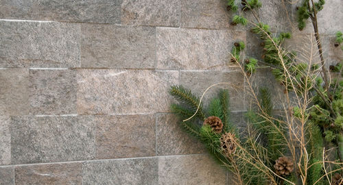 Piastrella in ceramica - CLIFF - Yurtbay Seramik - a rilievo / da esterno / da pavimento