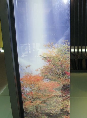 Pannello decorativo per interni - DGP - Clear glass - per parapetto / per edificio / per porta