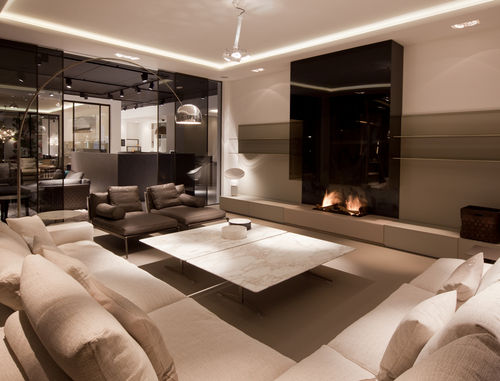 Camino a gas - 870 - Modus Fireplaces - a bioetanolo / a legna / da incasso