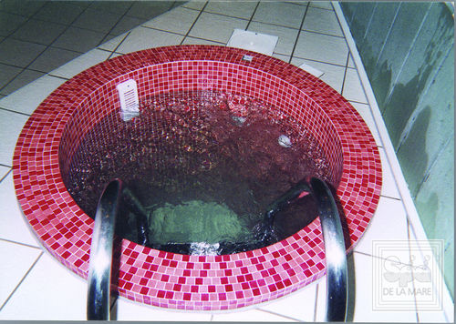 Spa da incasso - PLUNGE - Spa De La Mare - rotonda / 2 posti / in mosaico