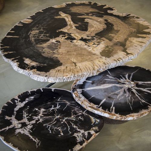Tavolino basso contemporaneo - Unik - in legno fossilizzato / rotondo / per uso residenziale