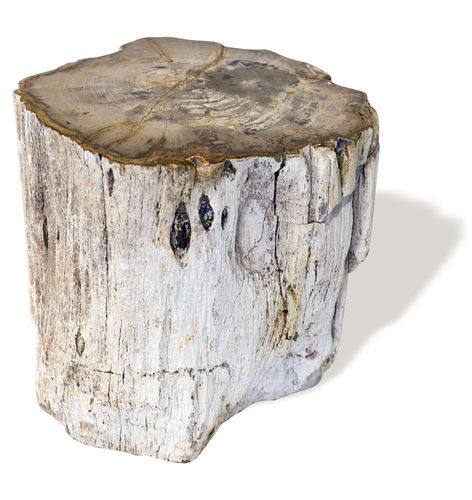 Sgabello contemporaneo - SKU: 244	 - Unik - in legno fossilizzato / contract / da esterno