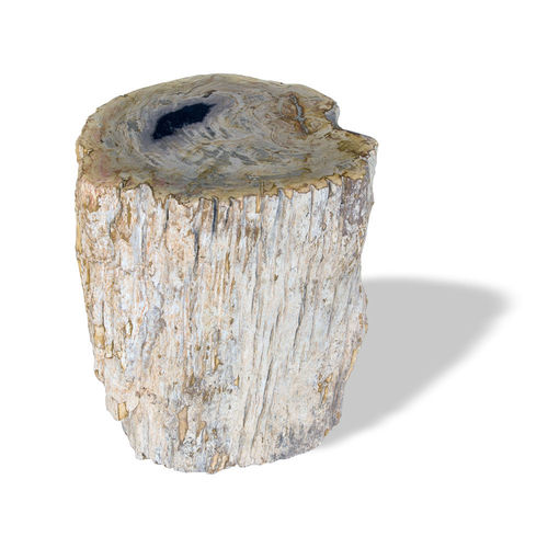 Sgabello contemporaneo - SKU: 517 - Unik - in legno fossilizzato / contract / da esterno