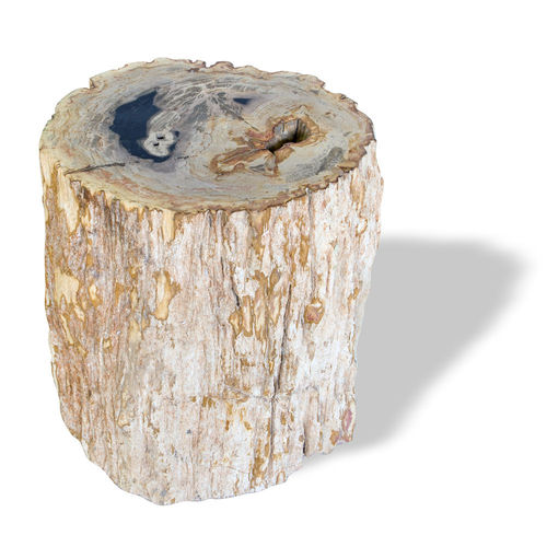 Sgabello contemporaneo - SKU: 527 - Unik - in legno fossilizzato / contract / da esterno