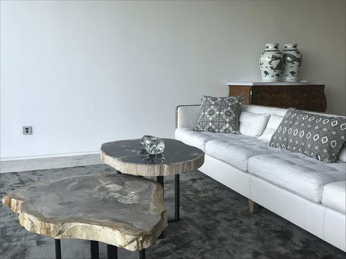 Tavolino basso contemporaneo - 1007 - Unik - in legno fossilizzato / ovale / per uso residenziale