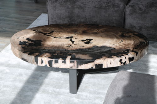 Tavolino basso contemporaneo - Unik - in legno fossilizzato / ovale / per uso residenziale
