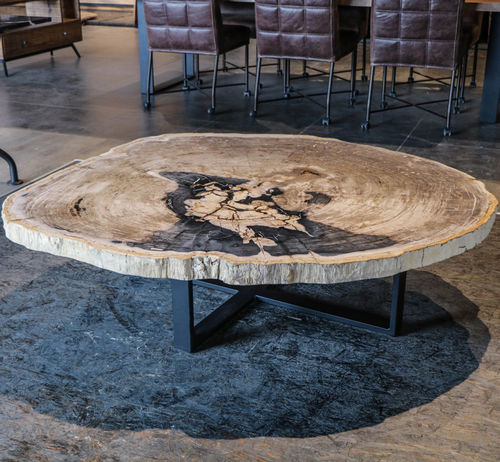 Tavolino basso contemporaneo - Unik - in legno fossilizzato / con supporto in metallo / per uso residenziale