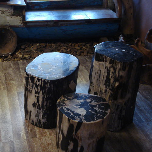 Tavolo d'appoggio contemporaneo - . - Unik - in legno fossilizzato / quadrato / circolare