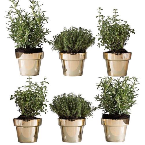 Vaso da giardino in lamiera - HERB - SKULTUNA - in ottone / rotondo / conico