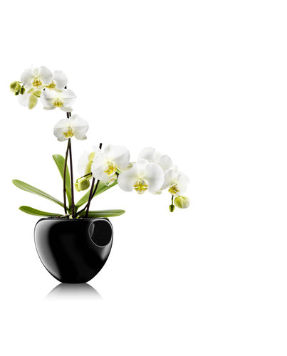 Vaso da giardino in plastica - ORCHID - eva solo