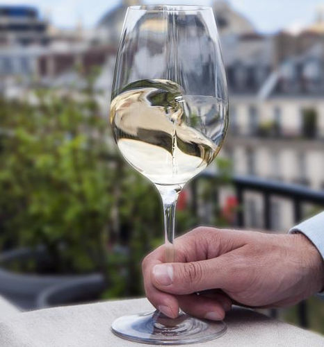 Bicchiere da vino - EXPLOREUR ŒNOLOGY  - L’Atelier du Vin - a calice / in vetro / contract